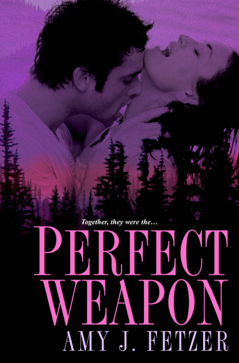 Cover image for book Perfect Weapon
