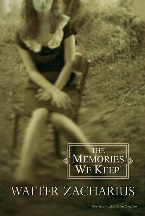 Cover image for book The Memories We Keep