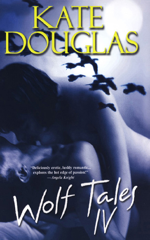 Cover image for book Wolf Tales IV