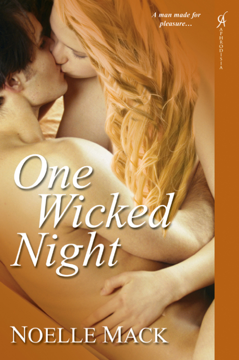 Cover image for book One Wicked Night
