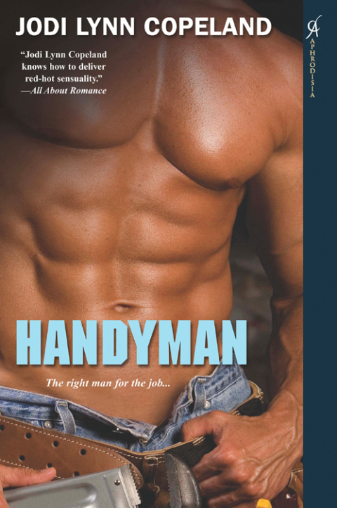 Cover image for book Handyman