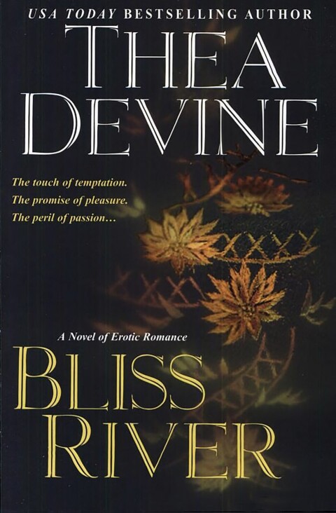 Cover image for book Bliss River