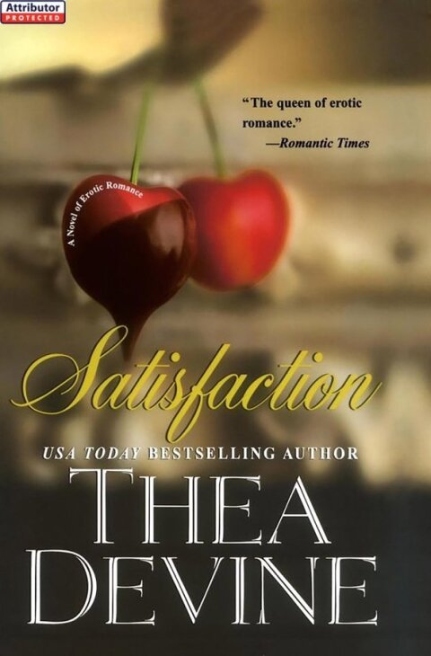 Cover image for book Satisfaction