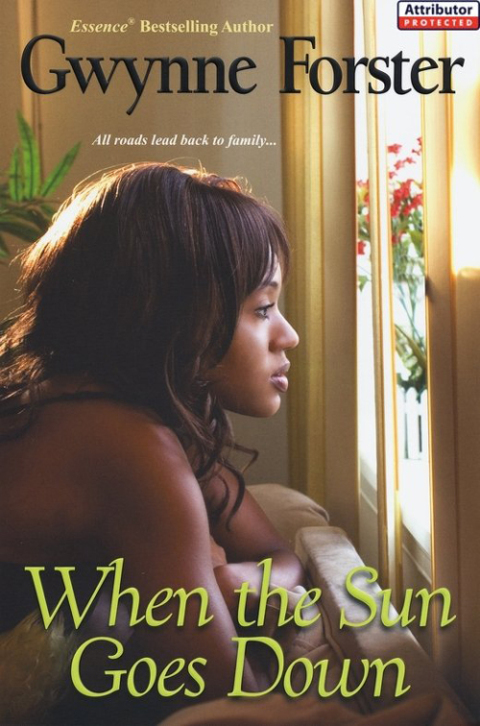 Cover image for book When the Sun Goes Down