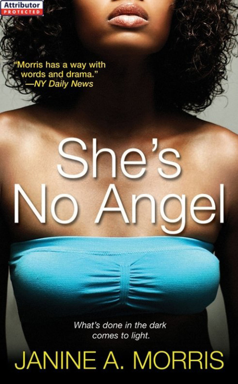 Cover image for book She's No Angel