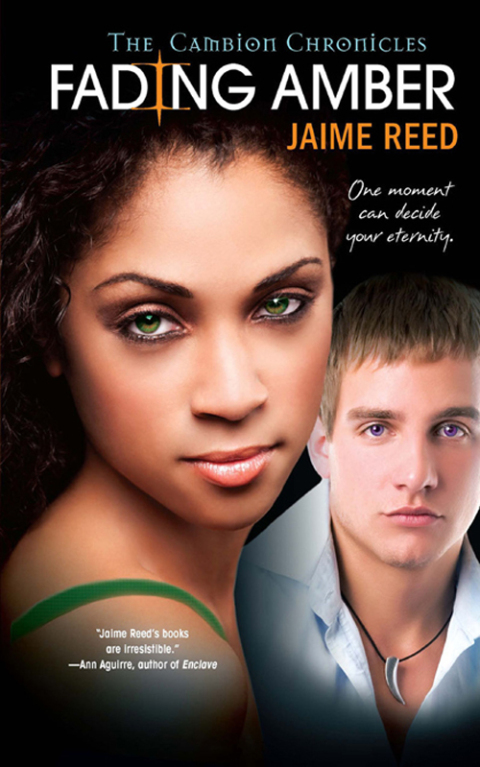Cover image for book Fading Amber