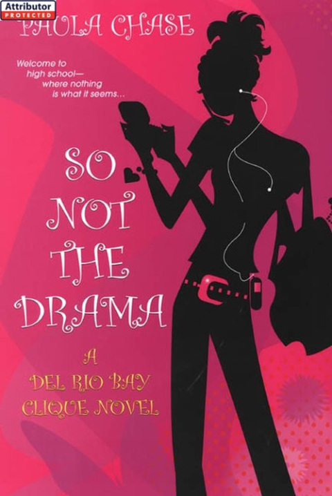 Cover image for book So Not The Drama: