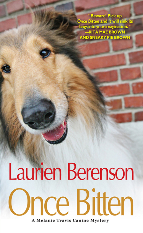 Cover image for book Once Bitten