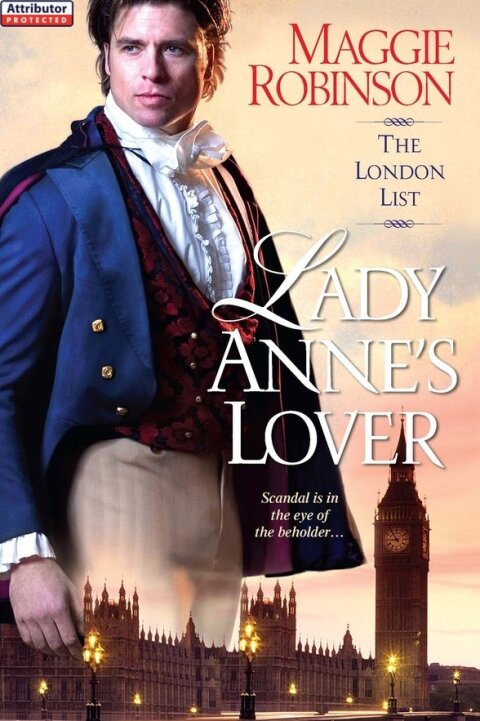 Cover image for book Lady Anne's Lover
