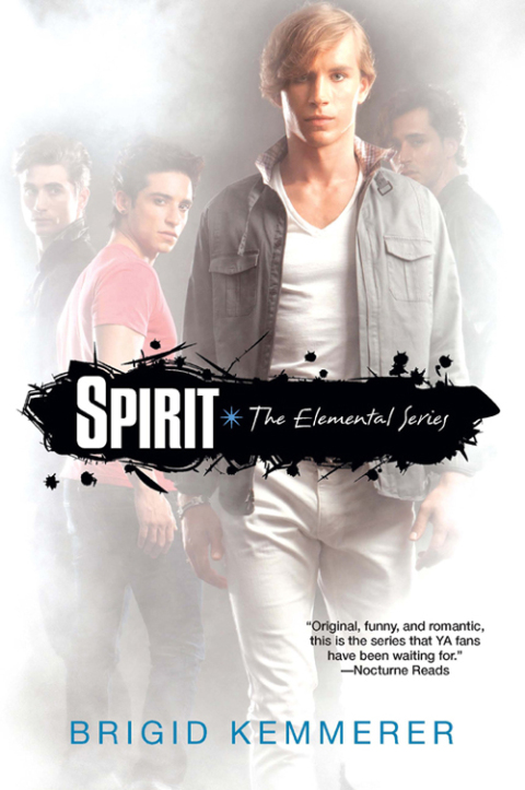 Cover image for book Spirit