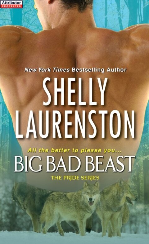 Cover image for book Big Bad Beast