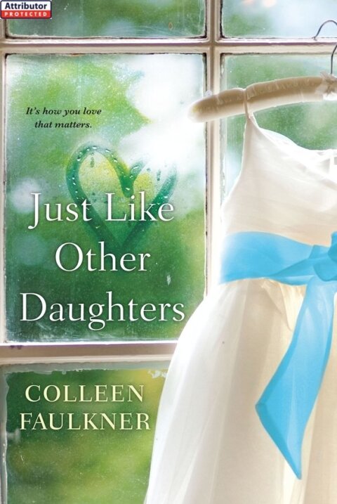 Cover image for book Just Like Other Daughters
