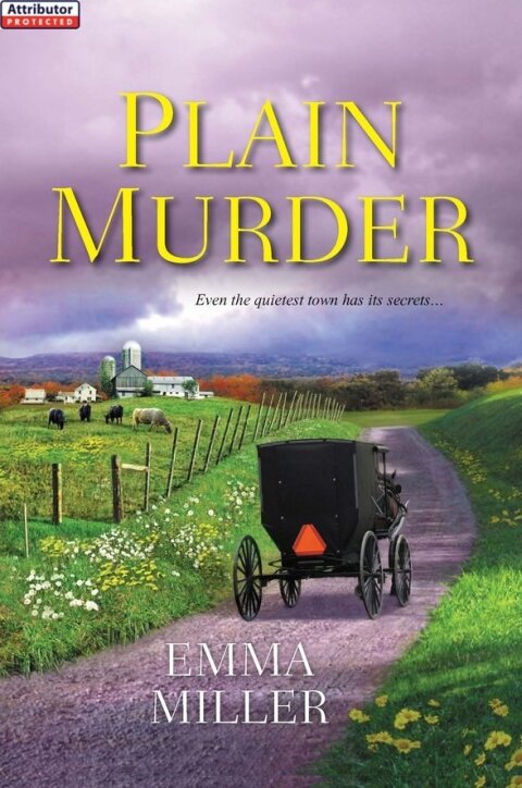 Cover image for book Plain Murder