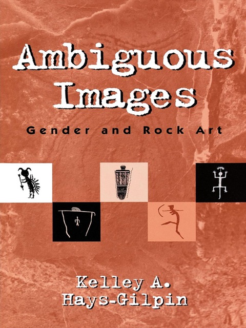 Cover image for book Ambiguous Images