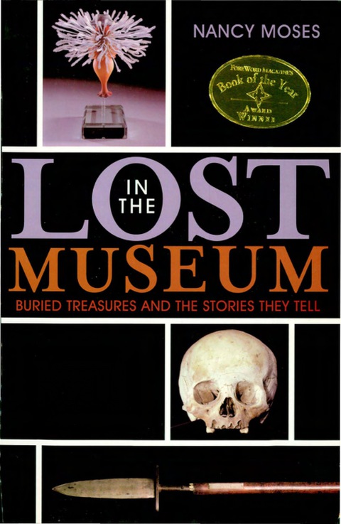 Cover image for book Lost in the Museum