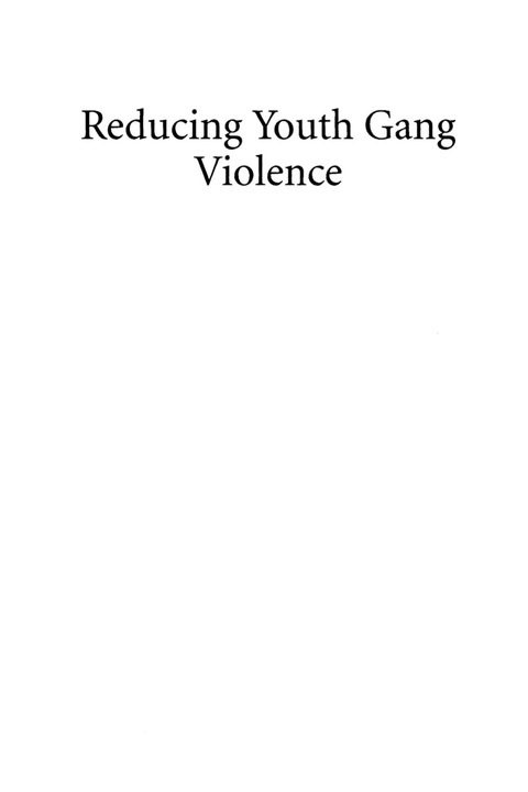 Cover image for book Reducing Youth Gang Violence