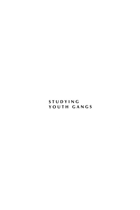 Cover image for book Studying Youth Gangs