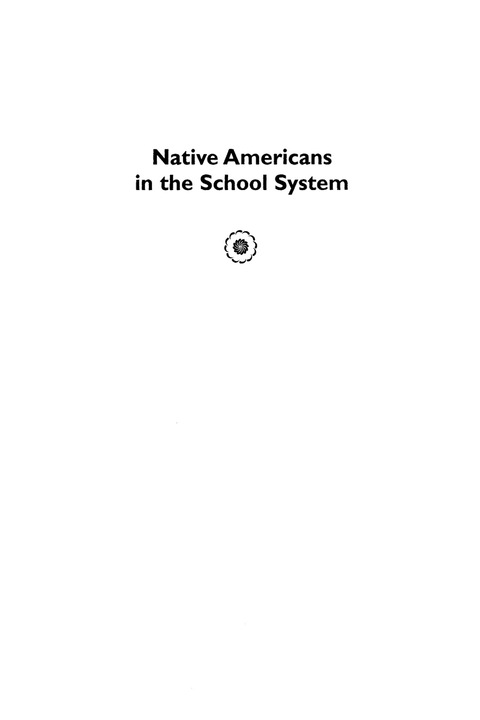 Cover image for book Native Americans in the School System