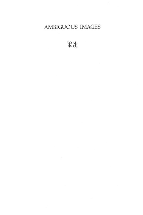 Cover image for book Ambiguous Images