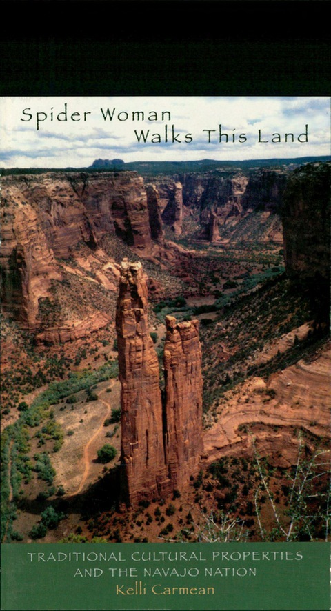Cover image for book Spider Woman Walks This Land