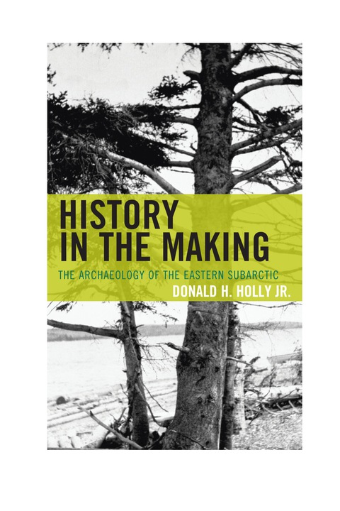 Cover image for book History in the Making
