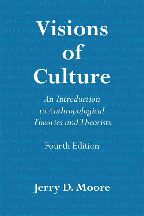 Cover image for book Visions of Culture