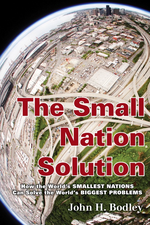 Cover image for book The Small Nation Solution