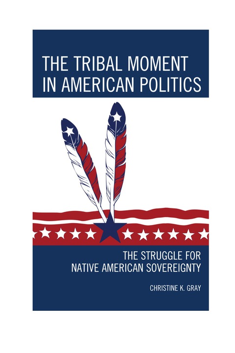 Cover image for book The Tribal Moment in American Politics