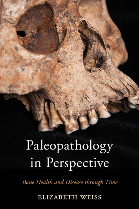 Cover image for book Paleopathology in Perspective