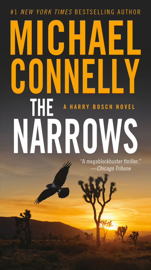 Cover image for book The Narrows