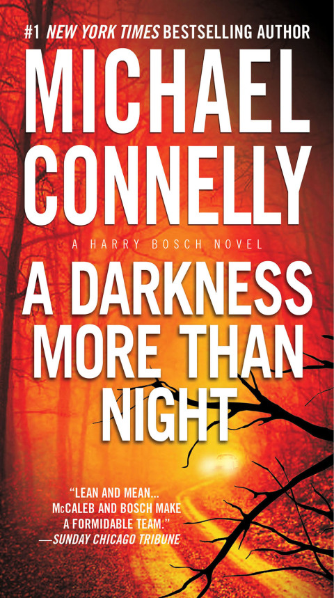 Cover image for book A Darkness More Than Night