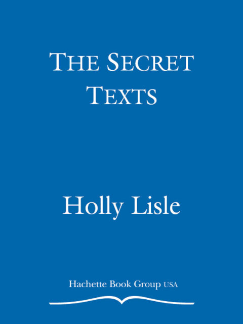 Cover image for book The Secret Texts
