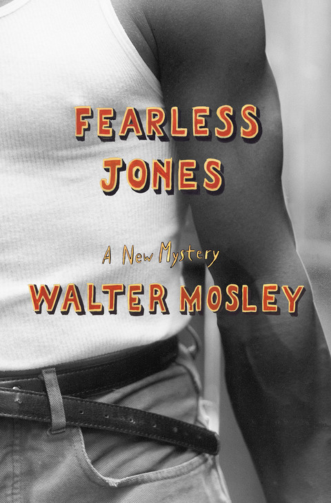 Cover image for book Fearless Jones