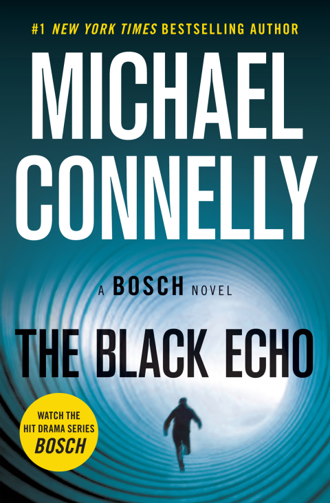 Cover image for book The Black Echo