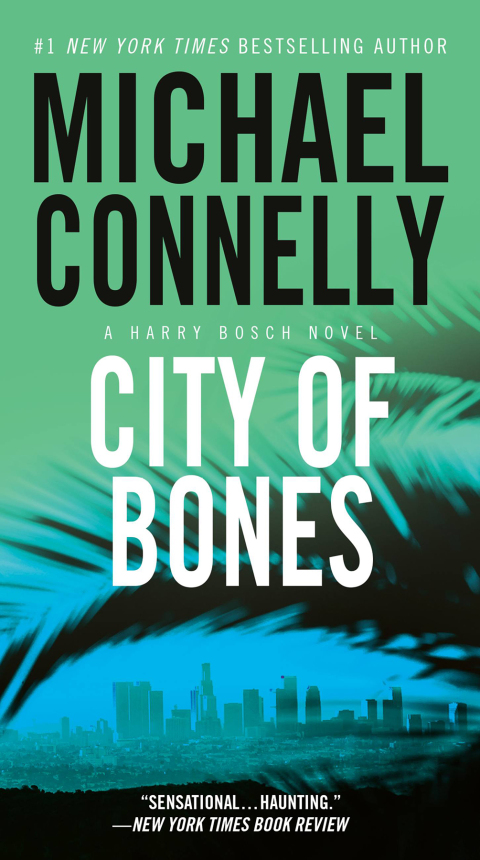 Cover image for book City of Bones