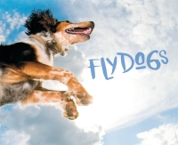 صورة الغلاف: Flydogs 9780760350522