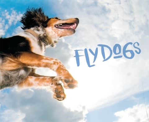 Cover image for book Flydogs