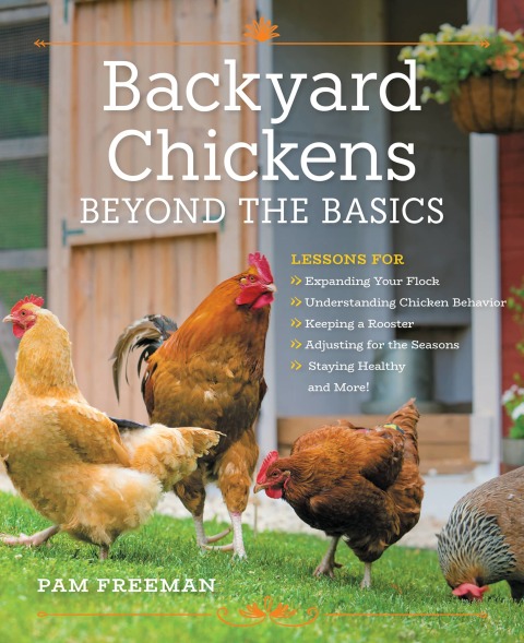 Cover image for book Backyard Chickens Beyond the Basics