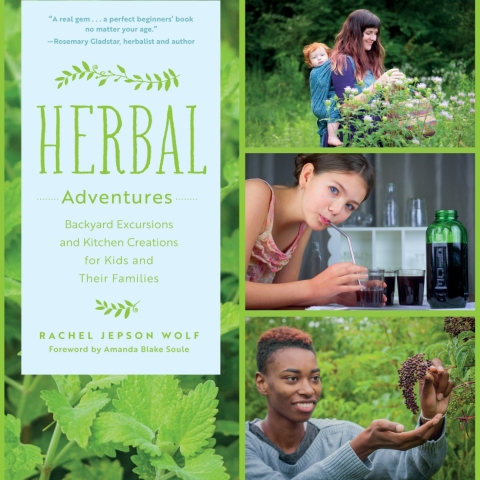 Cover image for book Herbal Adventures