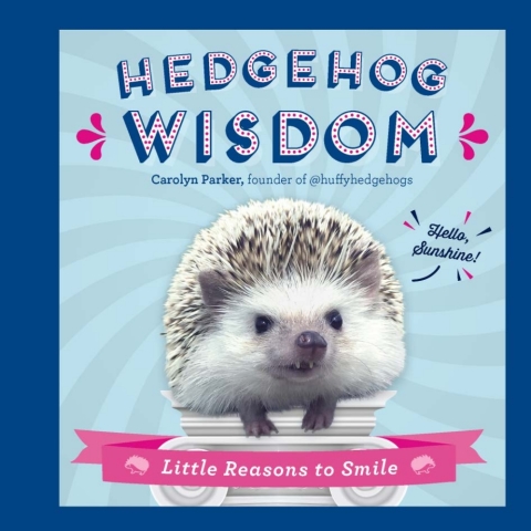 Cover image for book Hedgehog Wisdom