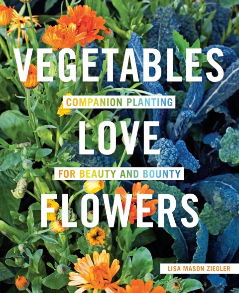 Cover image for book Vegetables Love Flowers