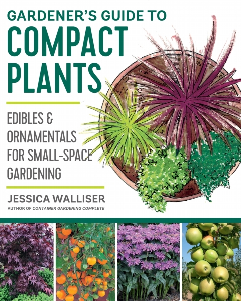Cover image for book Gardener's Guide to Compact Plants