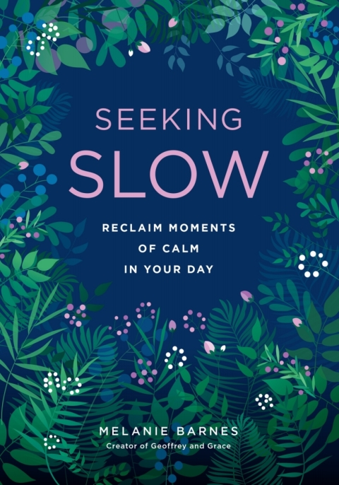 Cover image for book Seeking Slow