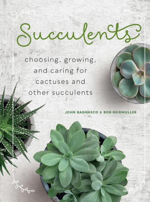 Cover image for book Succulents