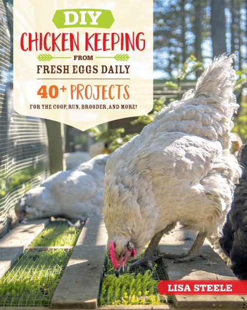 Cover image for book DIY Chicken Keeping from Fresh Eggs Daily
