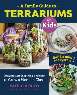 A Family Guide to Terrariums for Kids