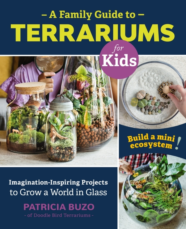 A Family Guide to Terrariums for Kids