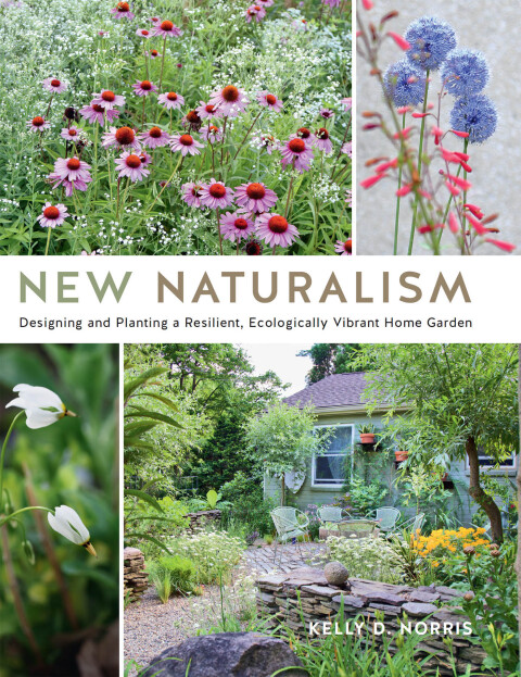 Cover image for book New Naturalism