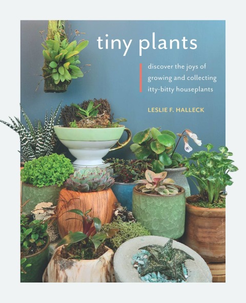 Cover image for book Tiny Plants