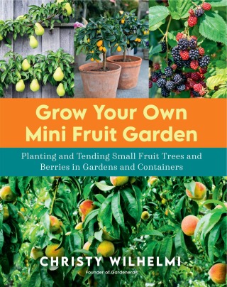 Grow Your Own Mini Fruit Garden